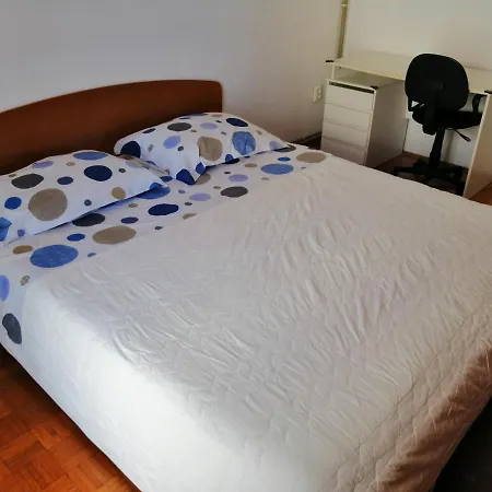 5 * 扎达尔